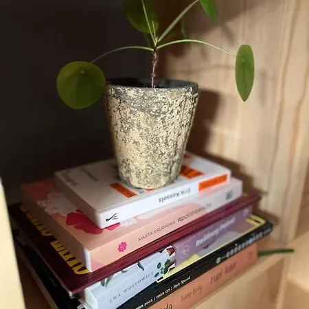 Cosy Loft-like Flat Nearby City Centre Apartament *